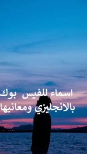 اسماء للفيس بوك بالانجليزي ومعانيها