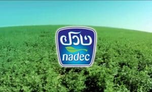 بحث عن شركة نادك بالانجليزي