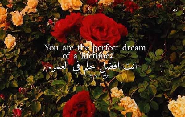 عبارات بالانجليزي عن الحب