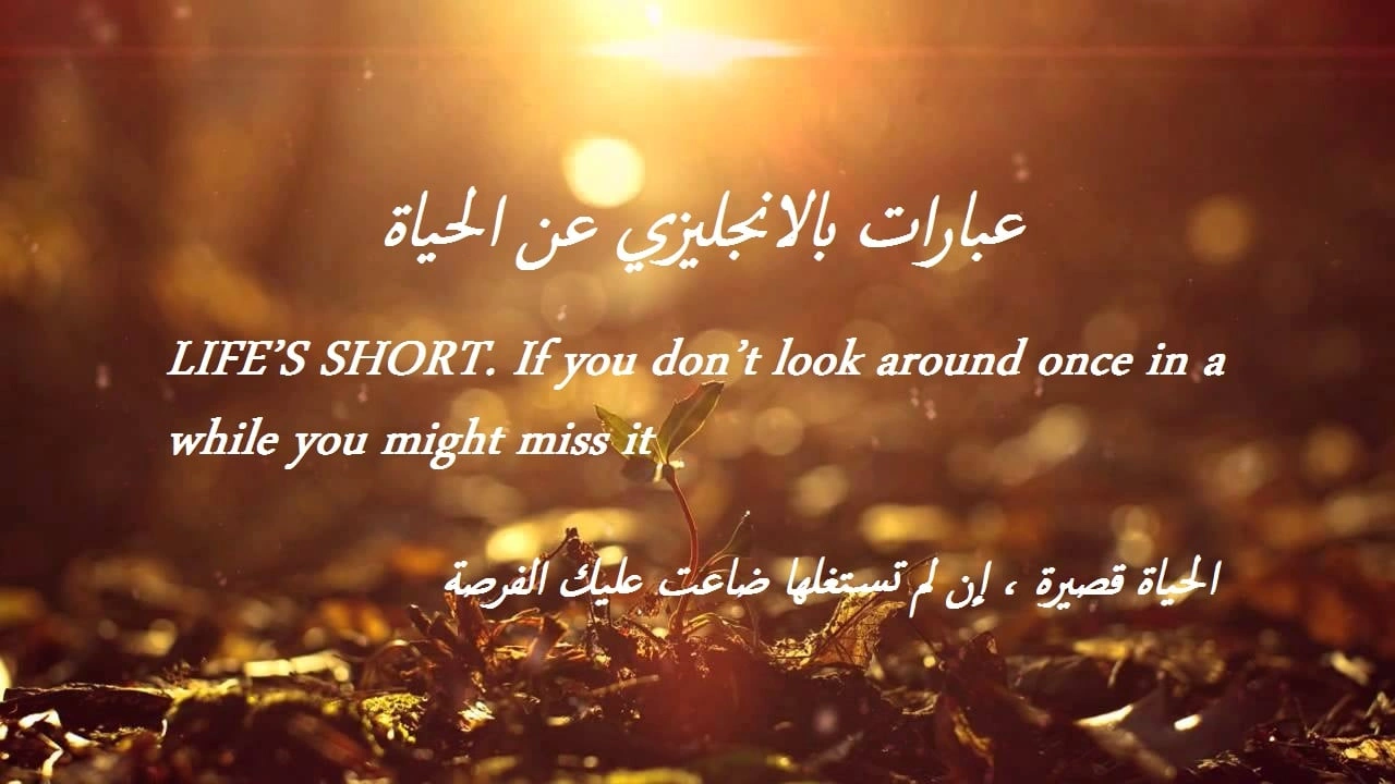 صورة عبارات بالانجليزي عن الحياة