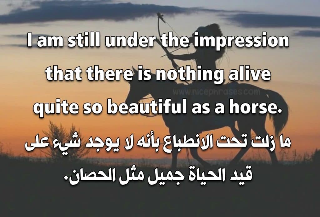 عبارات خيل بالانجليزي