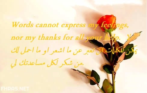 عبارات شكر بالانجليزي للطلاب