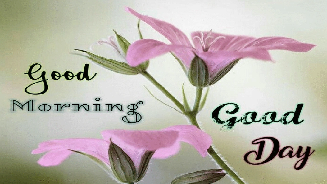 صورة عبارات عن يوم جميل بالانجليزي