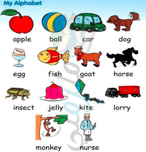 كلمات بالانجليزي للمبتدئين
