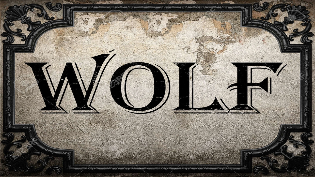 صورة كلمات ذئب بالانجليزي