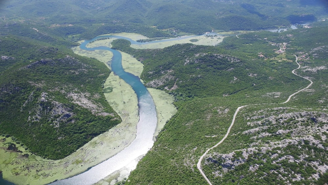 صورة موضوع تعبير عن نهر الامازون بالانجليزي