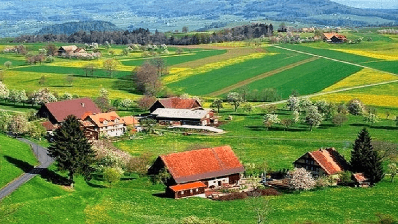 صورة إيجابيات وسلبيات البادية بالفرنسية