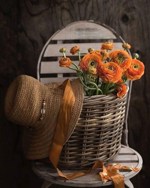اسماء للفيس بوك بالفرنسية للرجال