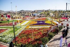 تعبير عن مدينة الطائف بالانجليزي