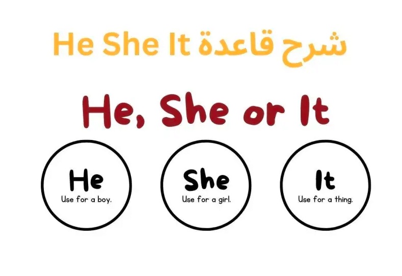 جمل بالانجليزي فيها she