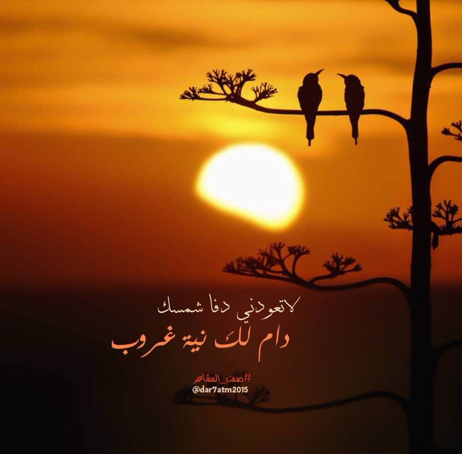 جمل عن الشمس بالانجليزي للاطفال