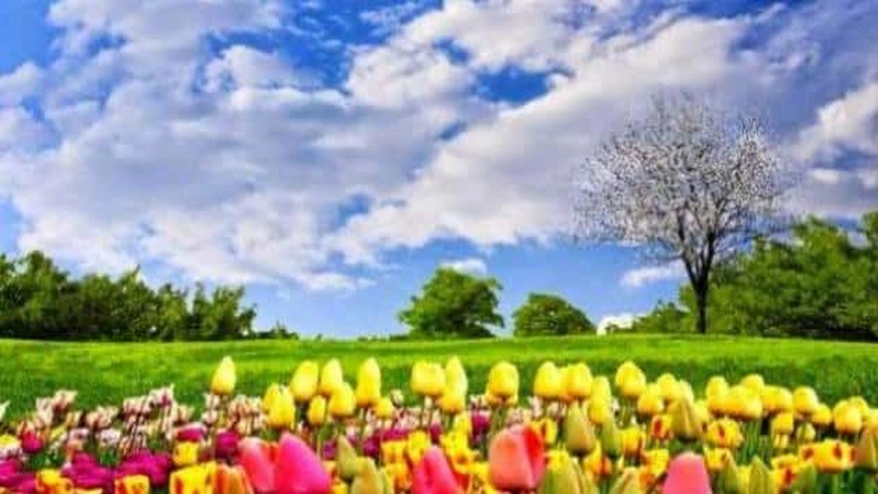 صورة جمل عن فصل الربيع بالانجليزي