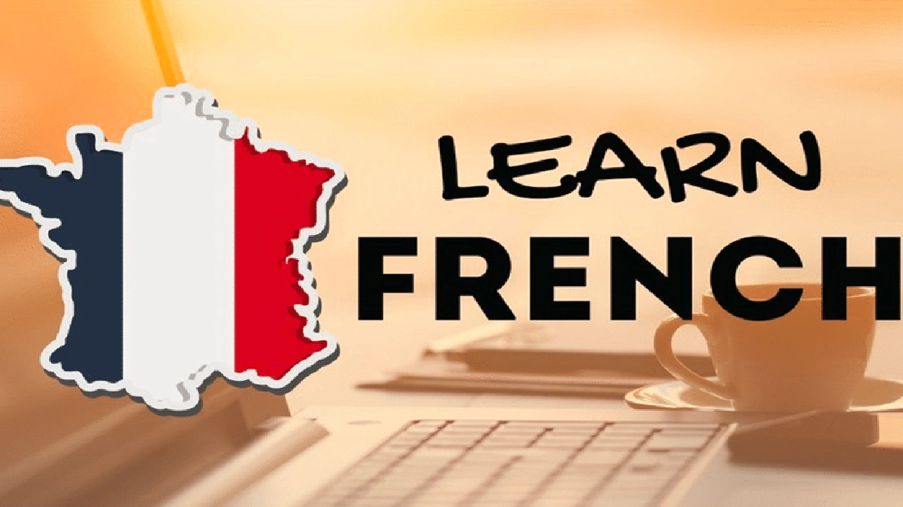 صورة شرح أدوات التعريف والتنكير في اللغة الفرنسية