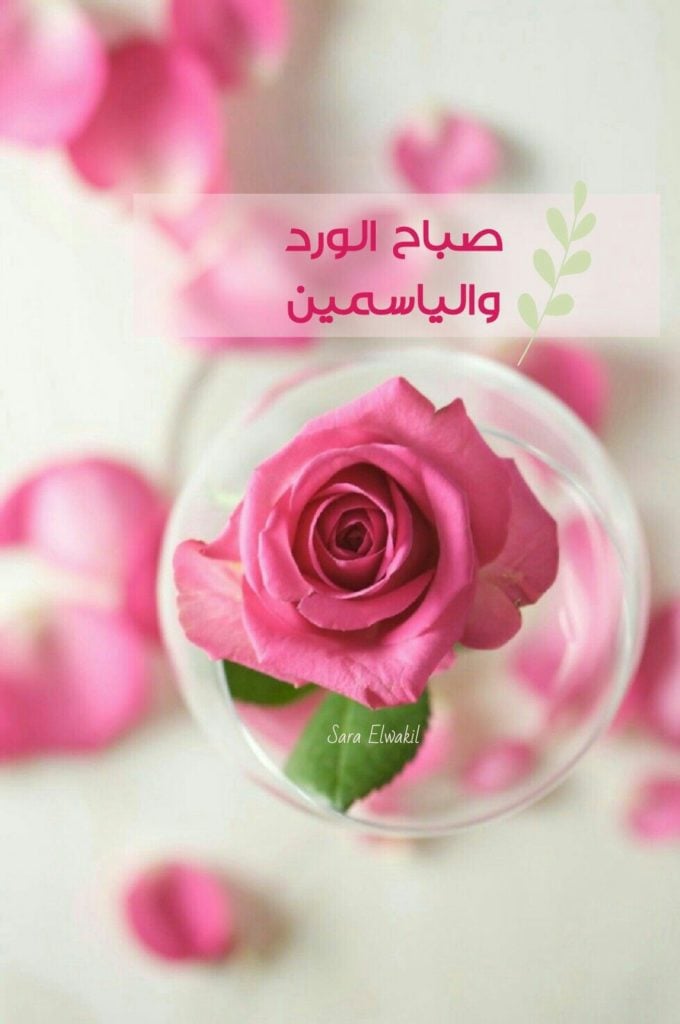 صباح النور والسرور بالانجليزي