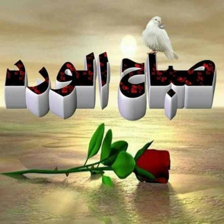 صباح النور والسرور بالانجليزي