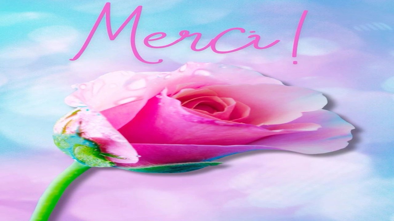 صورة عبارات شكر بالفرنسية للمعلمة 