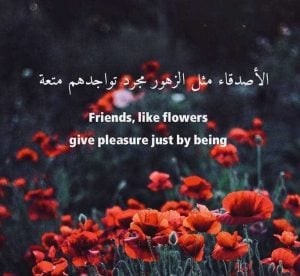 عبارات وجمل بالانجليزي