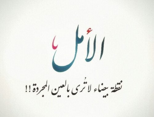 كلام عن الحياة بالفرنسية
