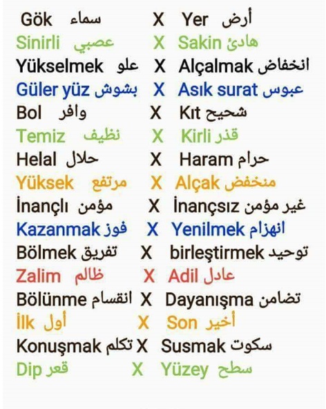 كلمات عامية باللغة التركية
