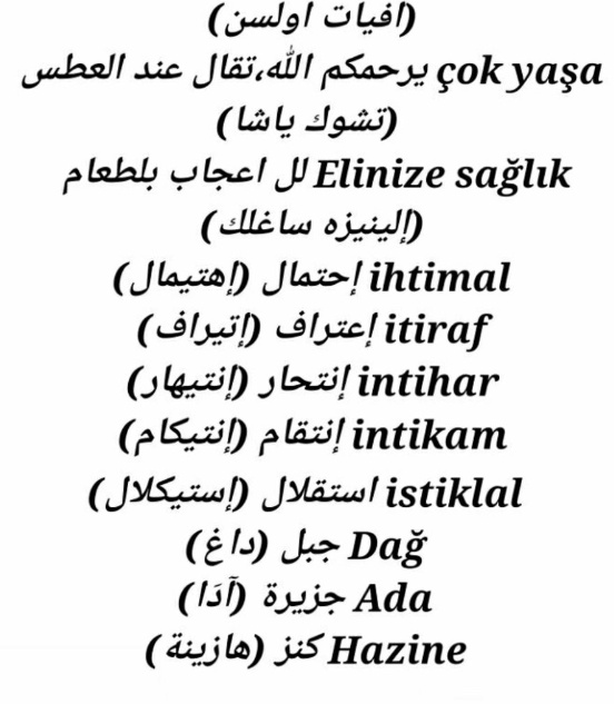 كلمات عامية باللغة التركية