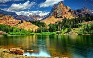 موضوع تعبير بالانجليزي عن الطبيعة