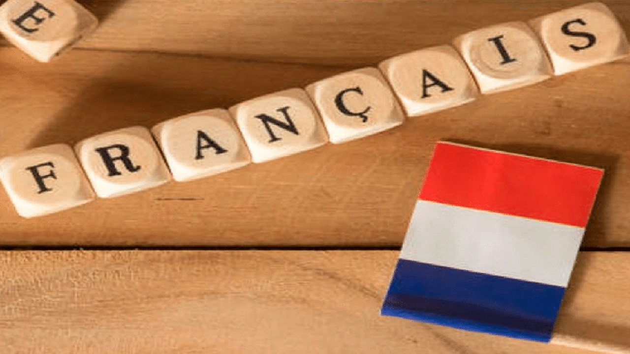 صورة شرح ضمائر الفاعل في اللغة الفرنسية