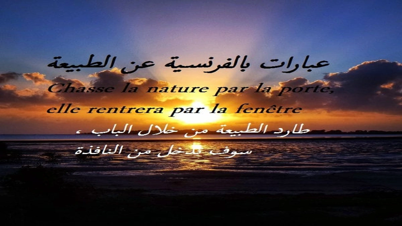 صورة عبارات بالفرنسية عن الطبيعة