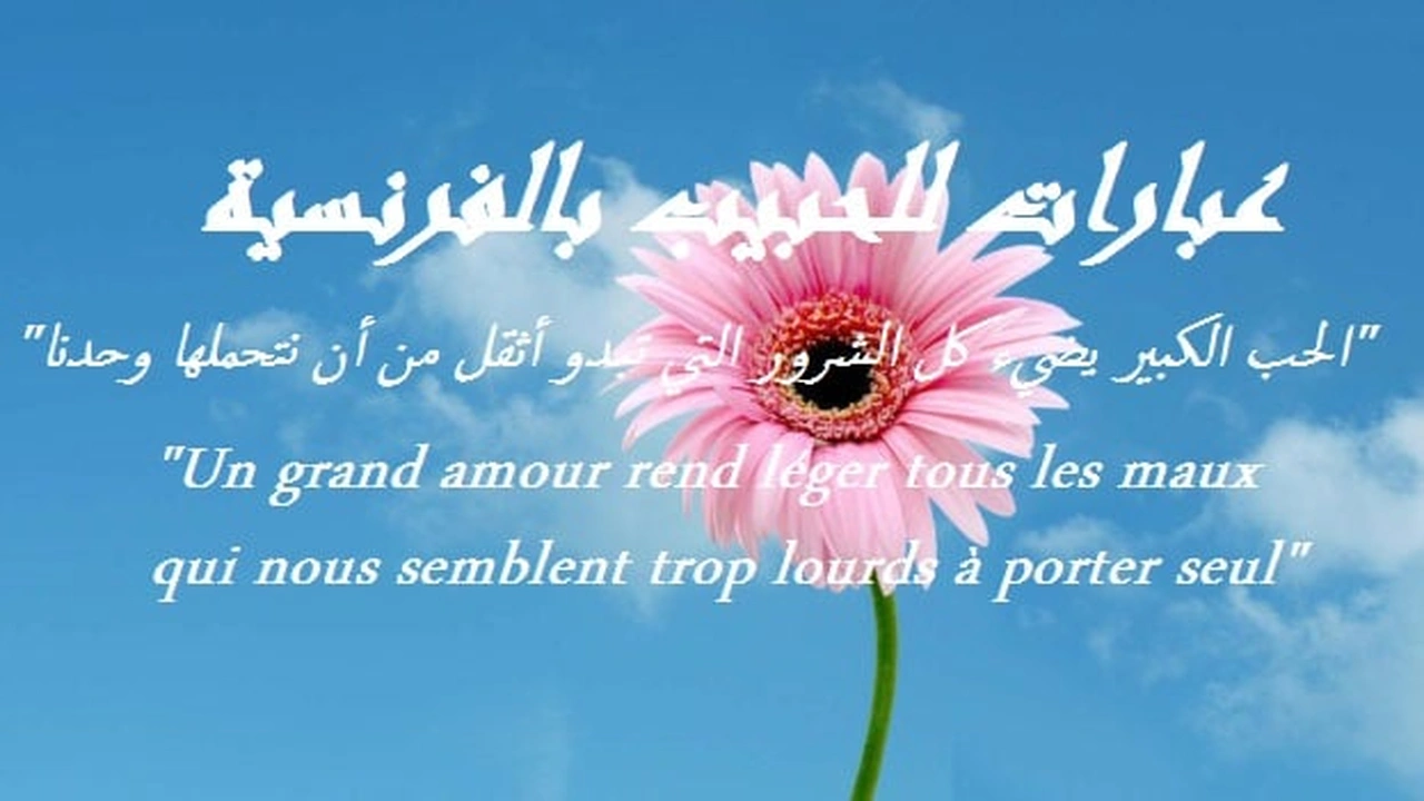 صورة عبارات للحبيب بالفرنسية
