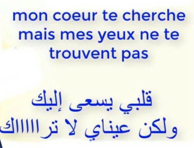 كلام حب للحبيب قبل النوم بالفرنسية