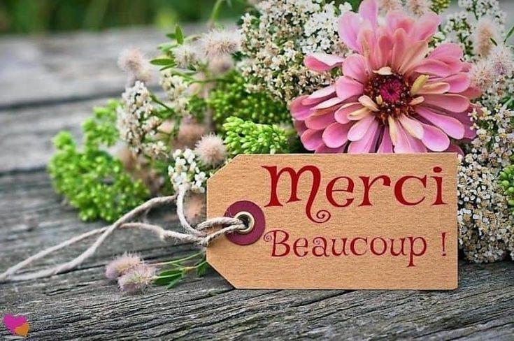 عبارات شكر بالفرنسية للاستاذ