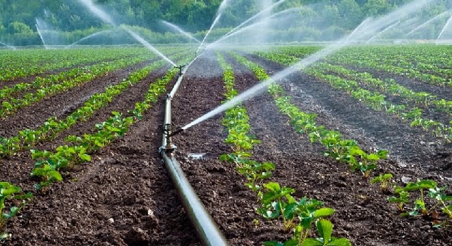موضوع عن الفلاحة بالفرنسية
